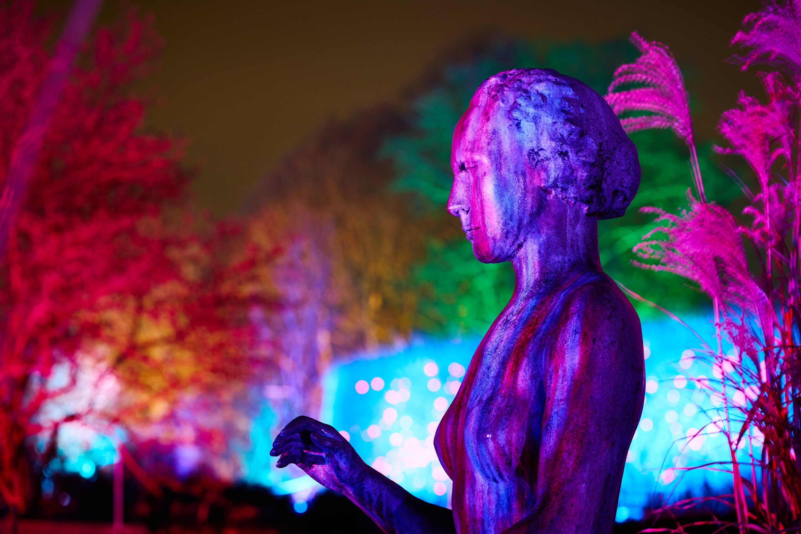 2026 02 05 Parkleuchten 0435